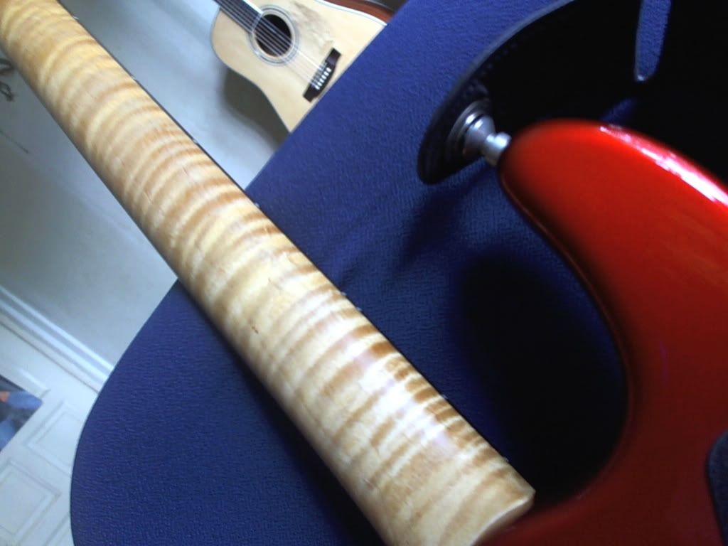 Picture11.jpg