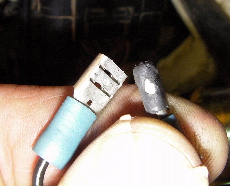 HuskyBadConnex_zpsf0ab4e75.jpg