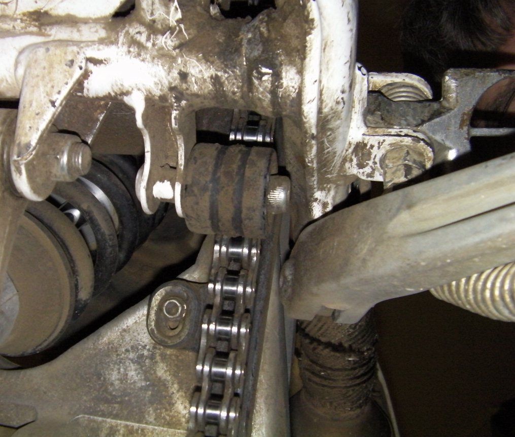 HuskyRoller_zpse1ac5335.jpg