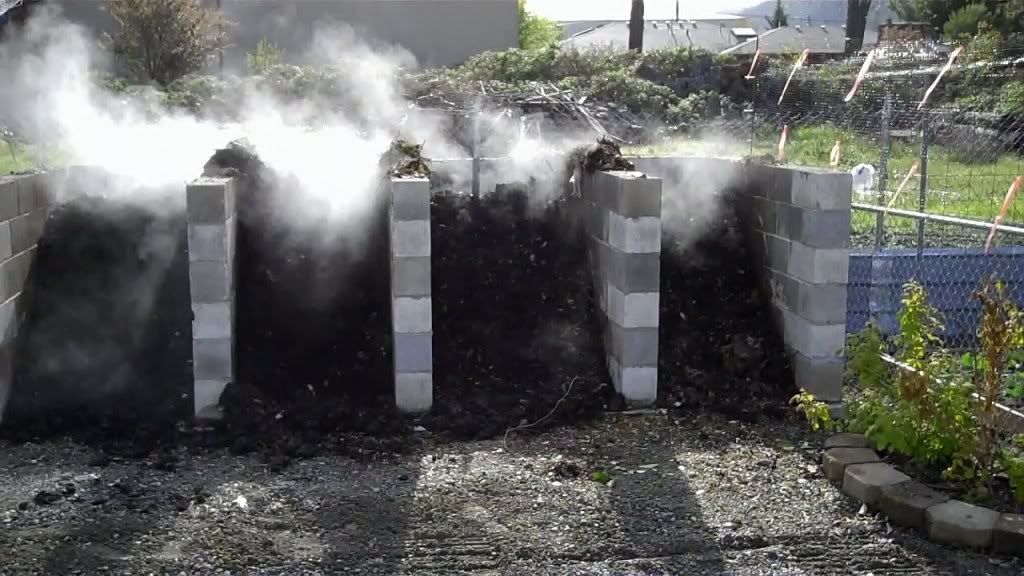 Hot Steaming Compost 4-22-2010