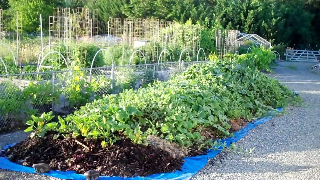 ratio, newbie question! )