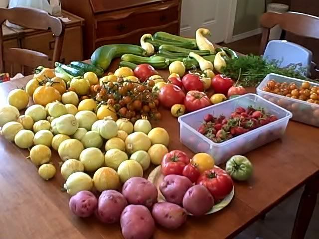 A Day in the Life ;-)