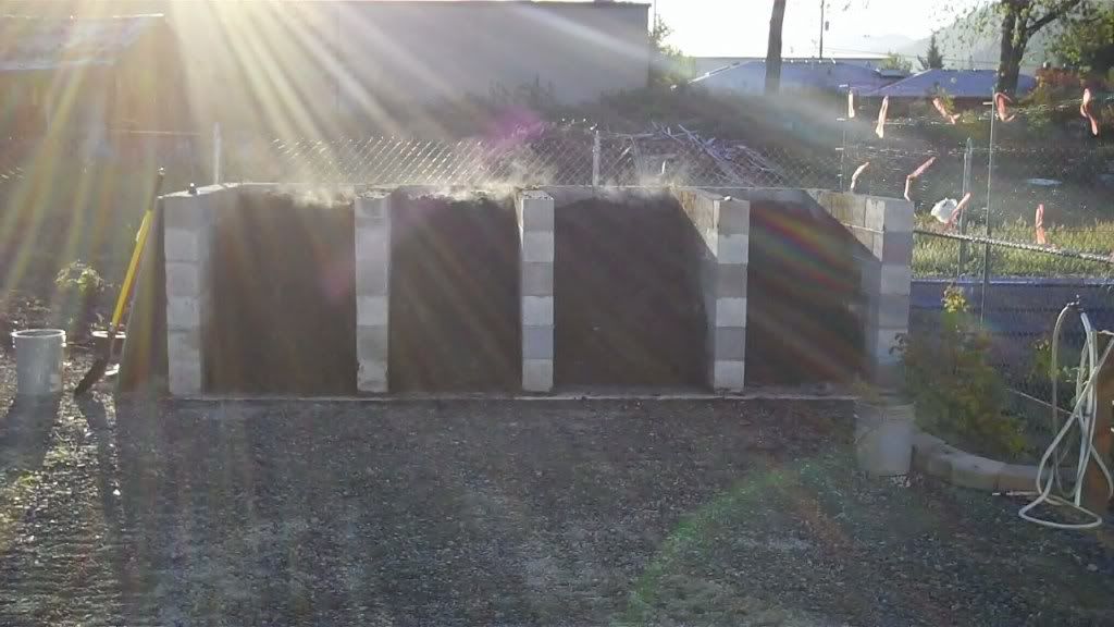 Compost bins 5-4-2010