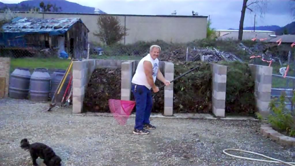 Compost Pile Security Guard 4-10-2010