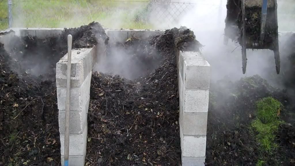 Compost 5-11-2010