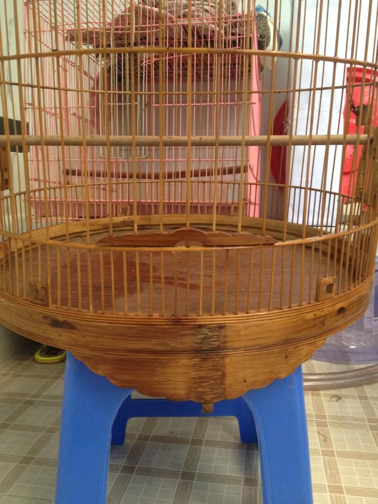 bán 2 cái lồng 80 - 5