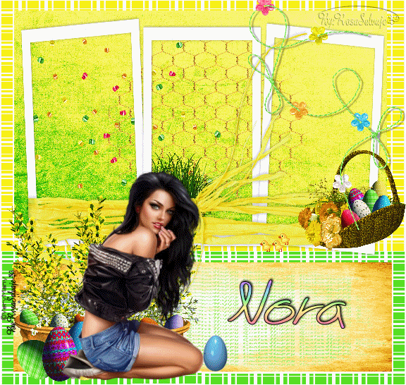  photo n_zps3c414886.gif