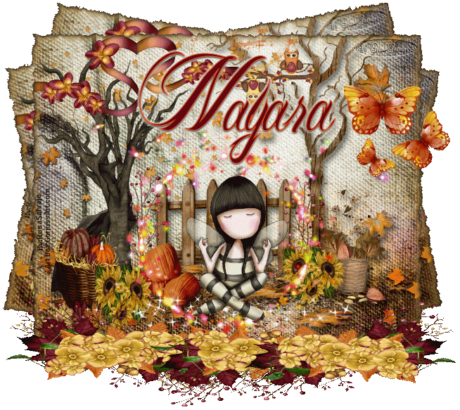  photo n_zps5585f371.gif