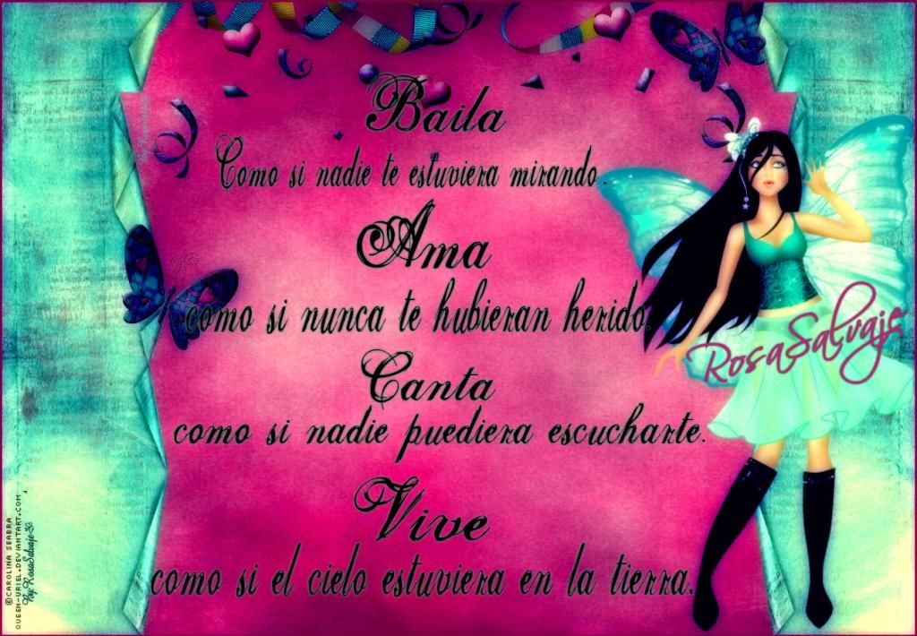  photo vive_zpsf14d92d0.jpg