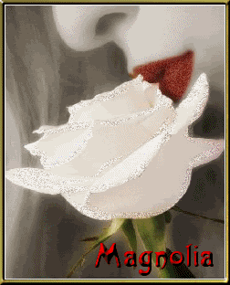 Magnoliasflor.gif picture by Magnolya