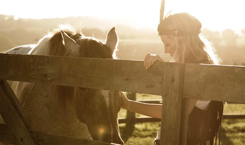 horse,afternoon light,headdress,paddock,field,magical,western