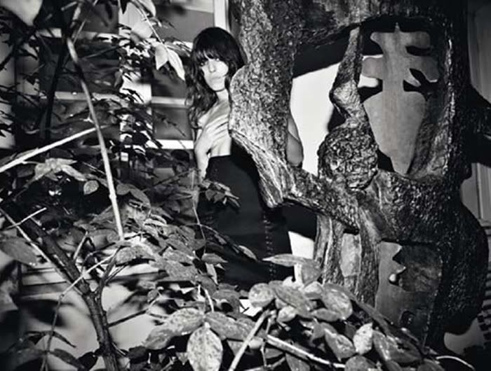 Lou Dillon,jungle,hiding