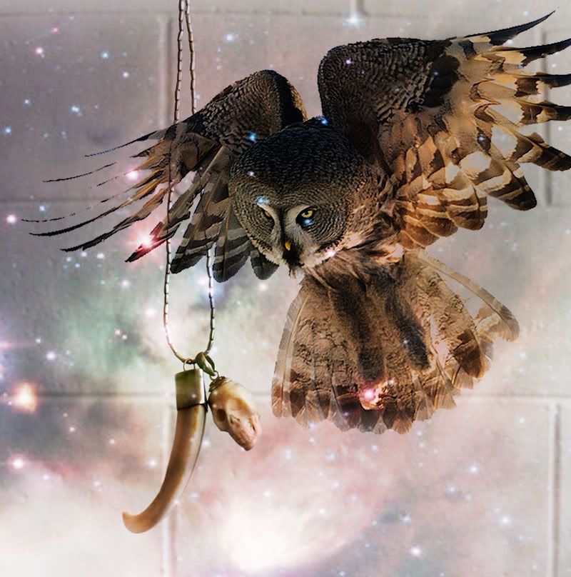 mystical,owl,bone,bird,necklace