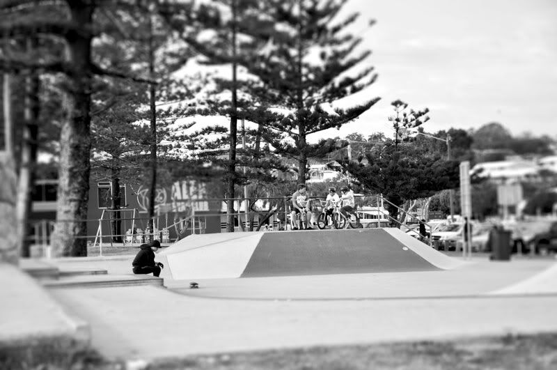 black & white,skateboarding