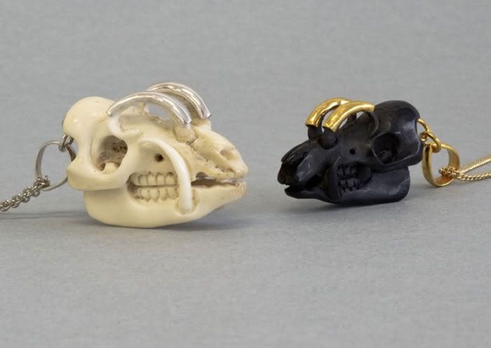 skull,bone