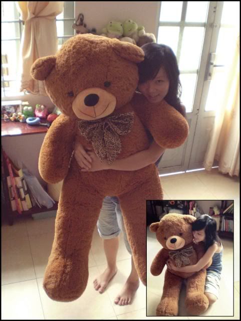 Shop Littlexfox == Thế giới gấu bông ==