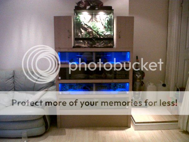 Wales - Custom snake viv/rack | Reptile Forums