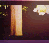 2-3.gif image by aisha00_album